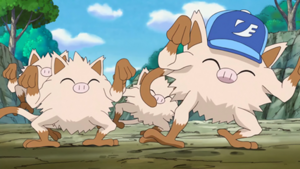 Épisode spécial LV 5 - Férosinge.png