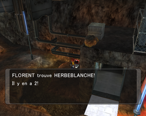 Île Ténébra Herbeblanche XD.png