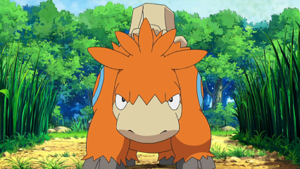 DP140 - Camérupt.png