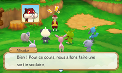 Miradar organise une sortie scolaire.