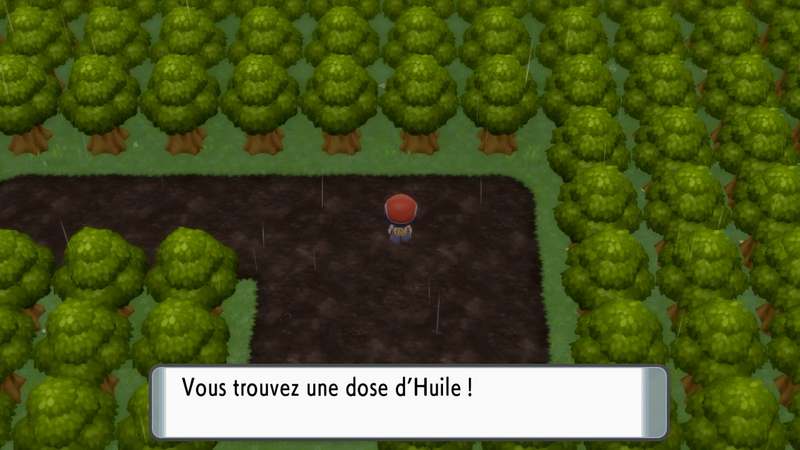 Fichier:Route 212 Huile DEPS.png