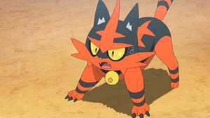 SL136 - Matoufeu de Sacha.png