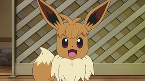 Évoli de Néphie.png