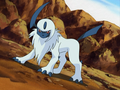 Absol (sauvage)