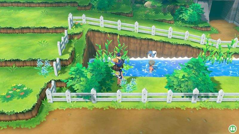 Fichier:Expert Akwakwak.jpg