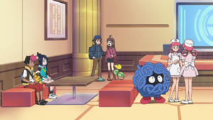 LH094 - Chétiflor et Saquedeneu d'un Dresseur.png