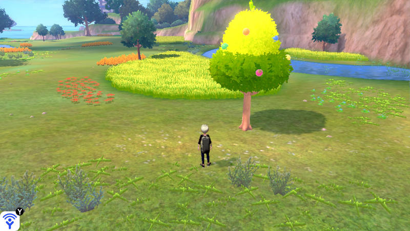 Fichier:Lande Boldair Arbre à Baies 3 EB.png