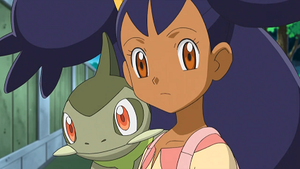 NB101 - Coupenotte d'Iris.png