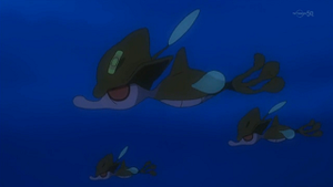 XY024 - Venalgue.png