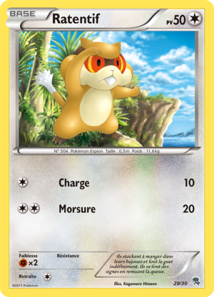 Carte Noir & Blanc Kit du Dresseur Zoroark 29.png