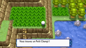 Chenal 226 Petit Champi 2 DEPS.png