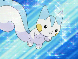 DP020 - Pachirisu d'Aurore.png