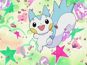 Sceau étoile Pachirisu.png