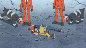XY132 - Malosse des Sbires de la Team Flare.png
