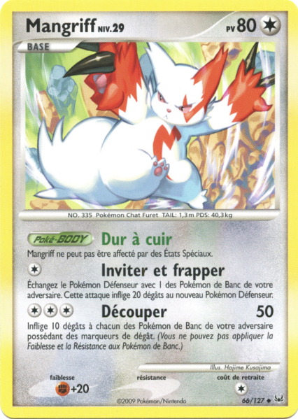 Fichier:Carte Platine 66.png