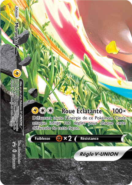 Fichier:Carte Promo SWSH SWSH217.png