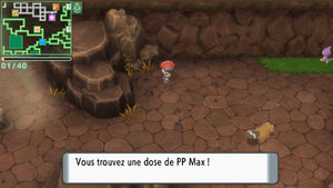 Grotte Spacieuse PP Max DEPS.png