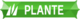 plante