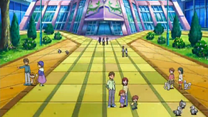 NB023 - Ratentif et Chinchidou d'un Dresseur et Poichigeon.png