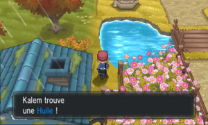 Romant-sous-Bois Huile XY.png