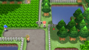 Route 204 DEPS.png
