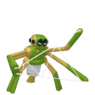 Spidops