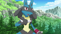 Lucario (de Cornélia)