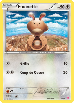 Fouinette (XY Kit du Dresseur Grodoudou 4)
