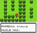 Route 2 Huile Max C.png