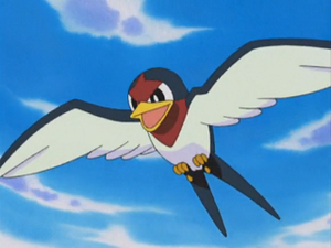 AG049 - Nirondelle de Sacha.png