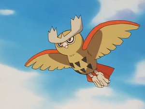 EP213 - Noarfang de Sacha.png