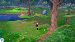 Forêt Flexion Objet Caché 5 EB.png