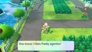 Route 17 Baie Framby argentée LGPE.png