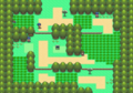 La Route 202 dans Pokémon Diamant et Perle.