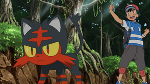 SL035 - Flamiaou de Sacha.png