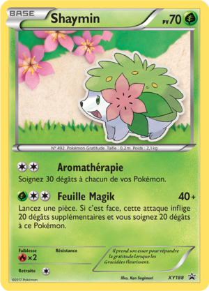 Carte Promo XY XY188.png