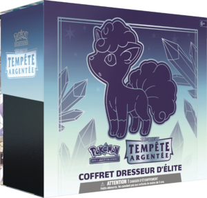 Coffret Dresseur d'élite Épée et Bouclier Tempête Argentée.png