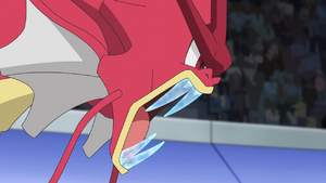 Léviator de Peter Crocs Givre.png