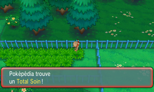 Route 121 Total Soin ROSA.png