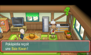 Route 123 Baie Kiwan ROSA.png