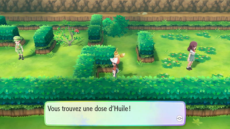 Fichier:Route 25 Huile LGPE.png