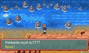 Chenal 133 CT77 ROSA.png