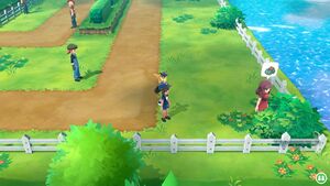 Expert Herbizarre.jpg