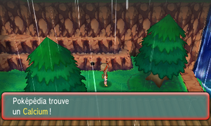 Route 119 Calcium ROSA.png