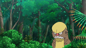 SL105 - Argouste.png