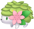 Shaymin