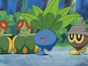 AG063 - Mystherbe.png