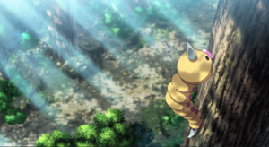 Aspicot sauvage - Film 20.png