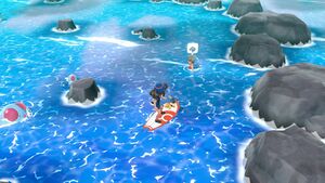 Expert Hypotrempe.jpg