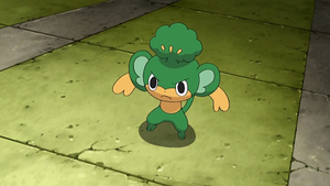 NB064 - Feuillajou de Rachid.png